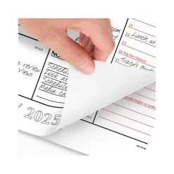 2025 AT-A-GLANCE 21.75" x 17" Monthly Desk Pad Calendar, White/Black (SK1170-00-25)