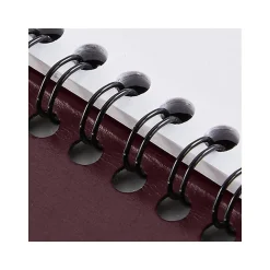 2025 AT-A-GLANCE 8.25