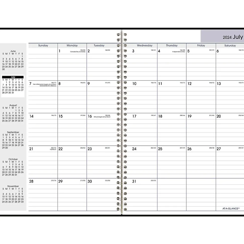 2024-2025 AT-A-GLANCE DayMinder 8" x 12" Academic Monthly Planner, Faux Leather Cover, Black (AY2-00-25)