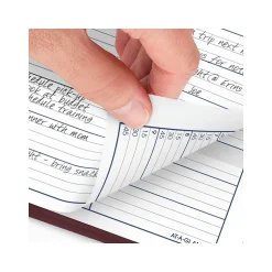 2025 AT-A-GLANCE DayMinder 8