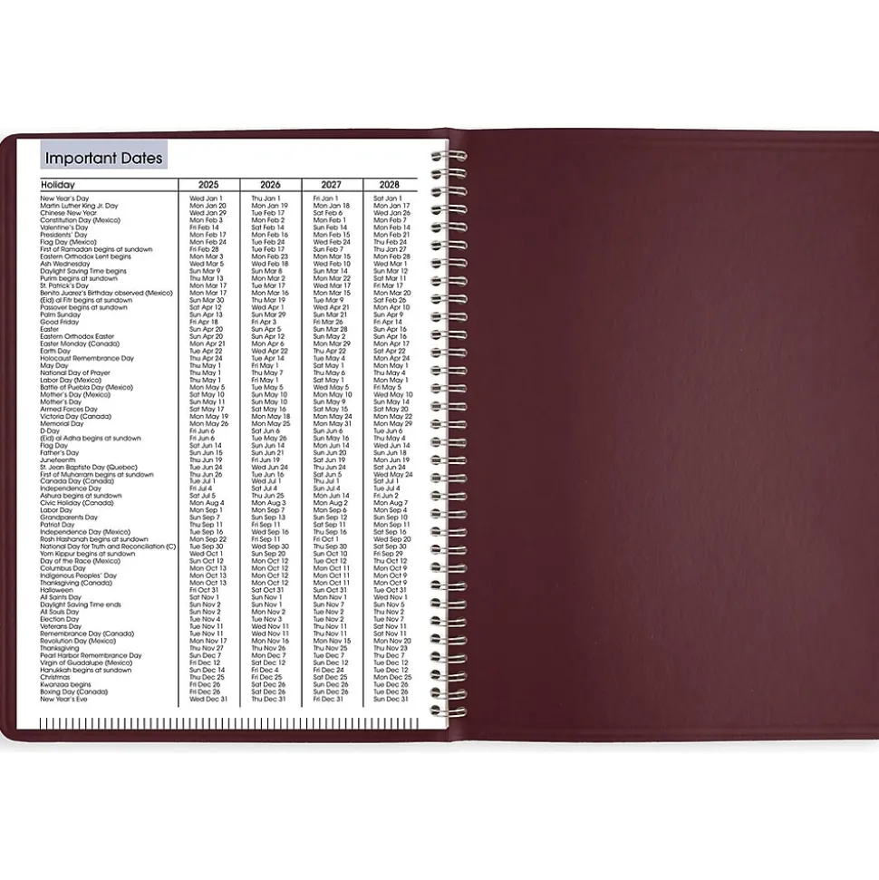 2025 AT-A-GLANCE DayMinder 8" x 11" Weekly Appointment Book, Faux Leather Cover, Burgundy (G520-14-25)