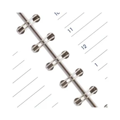 2025 AT-A-GLANCE DayMinder 5