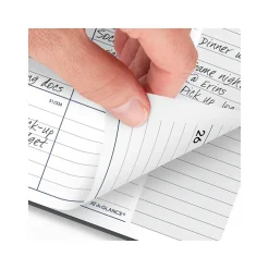 2025 AT-A-GLANCE DayMinder 8.5