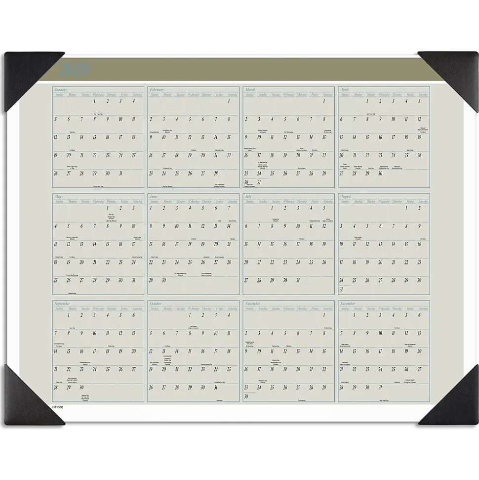 2025 AT-A-GLANCE Executive 21.75" x 17" Monthly Desk Pad Calendar, Green/White (HT1500-25)