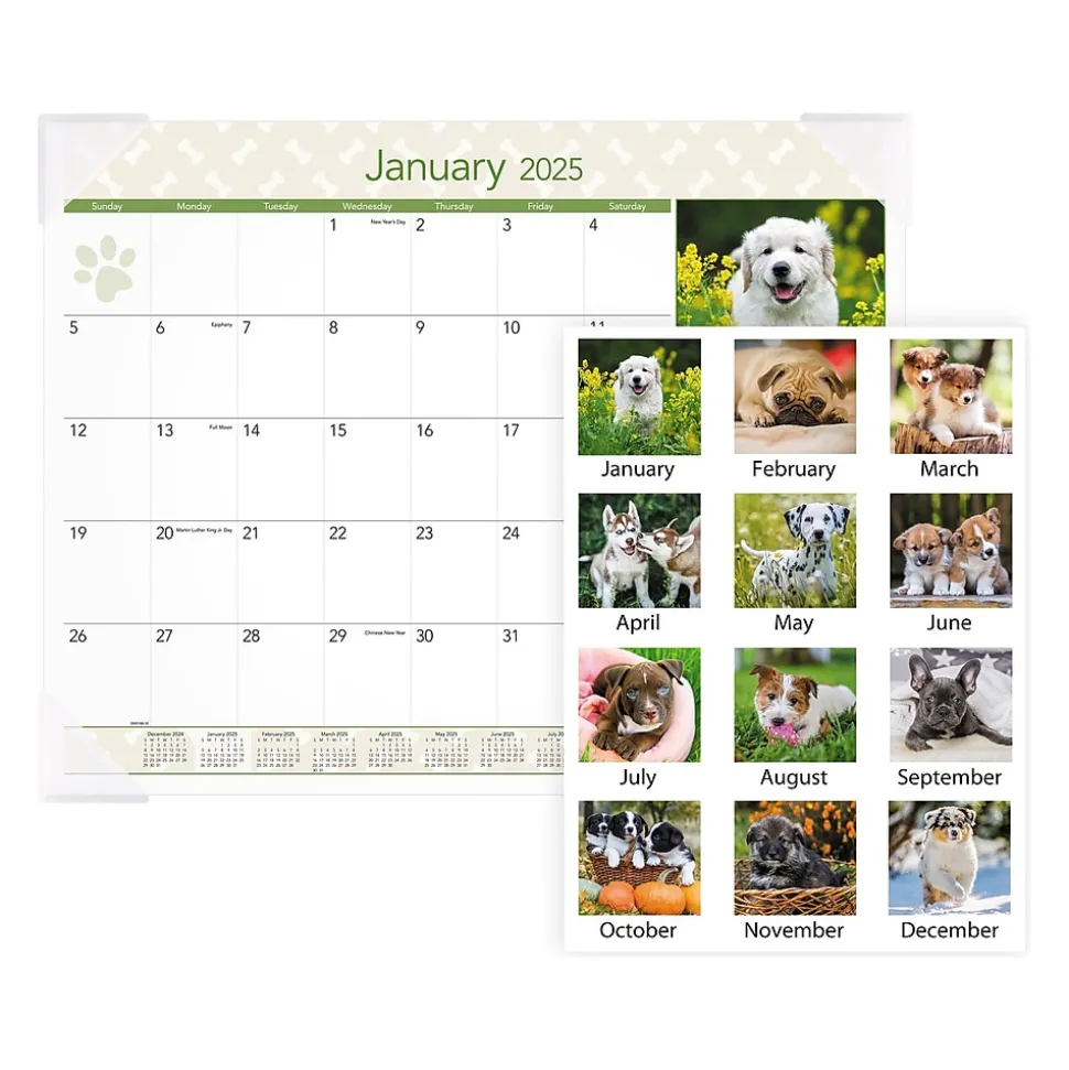 2025 AT-A-GLANCE Puppies 21.75" x 17" Monthly Desk Pad Calendar (DMD166-32-25)