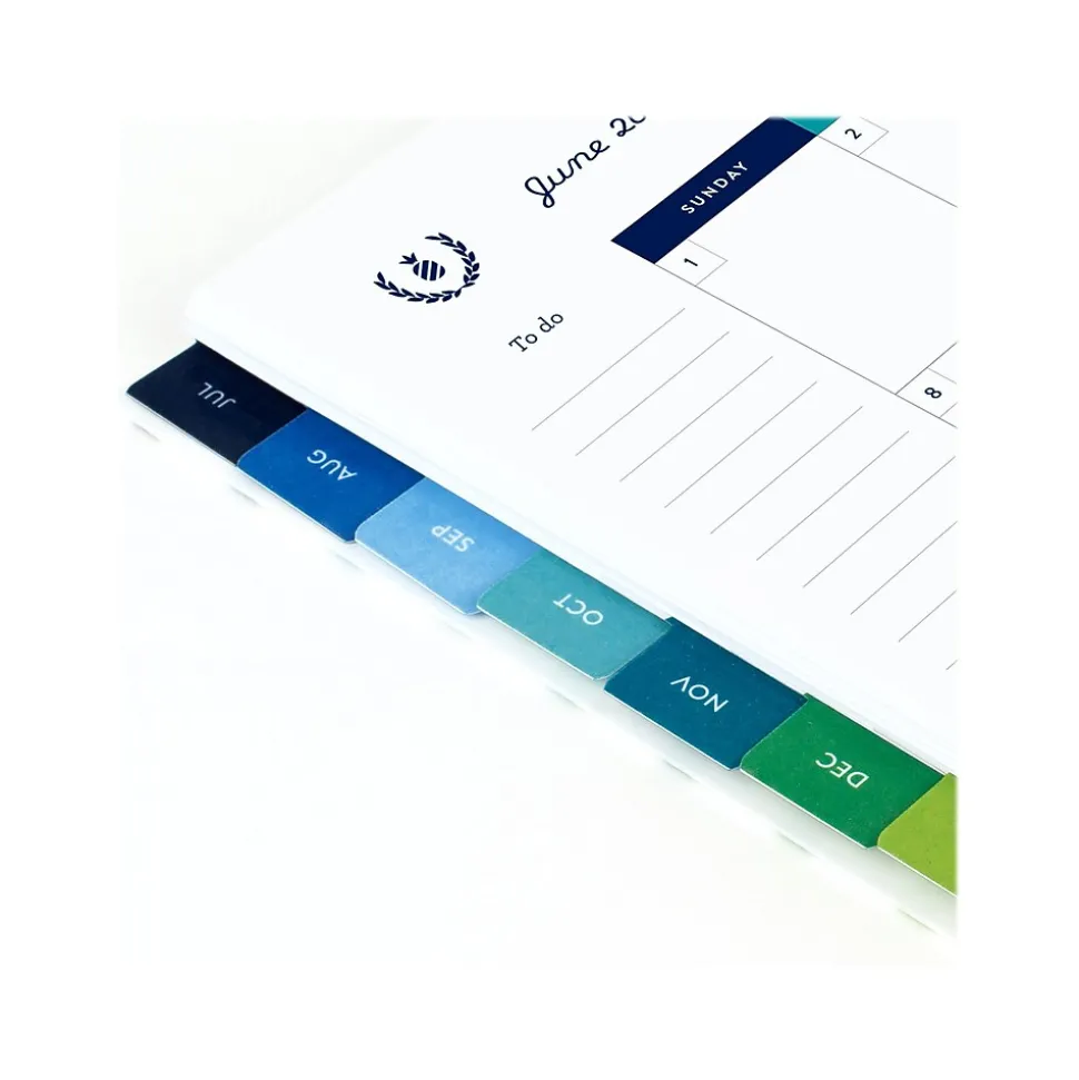 2024-2025 AT-A-GLANCE Simplified by Emily Ley Happy Stripe 5.5" x 8.5" Academic Weekly & Monthly Planner, Poly Cover