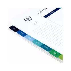 2024-2025 AT-A-GLANCE Simplified by Emily Ley Gingham 8.5