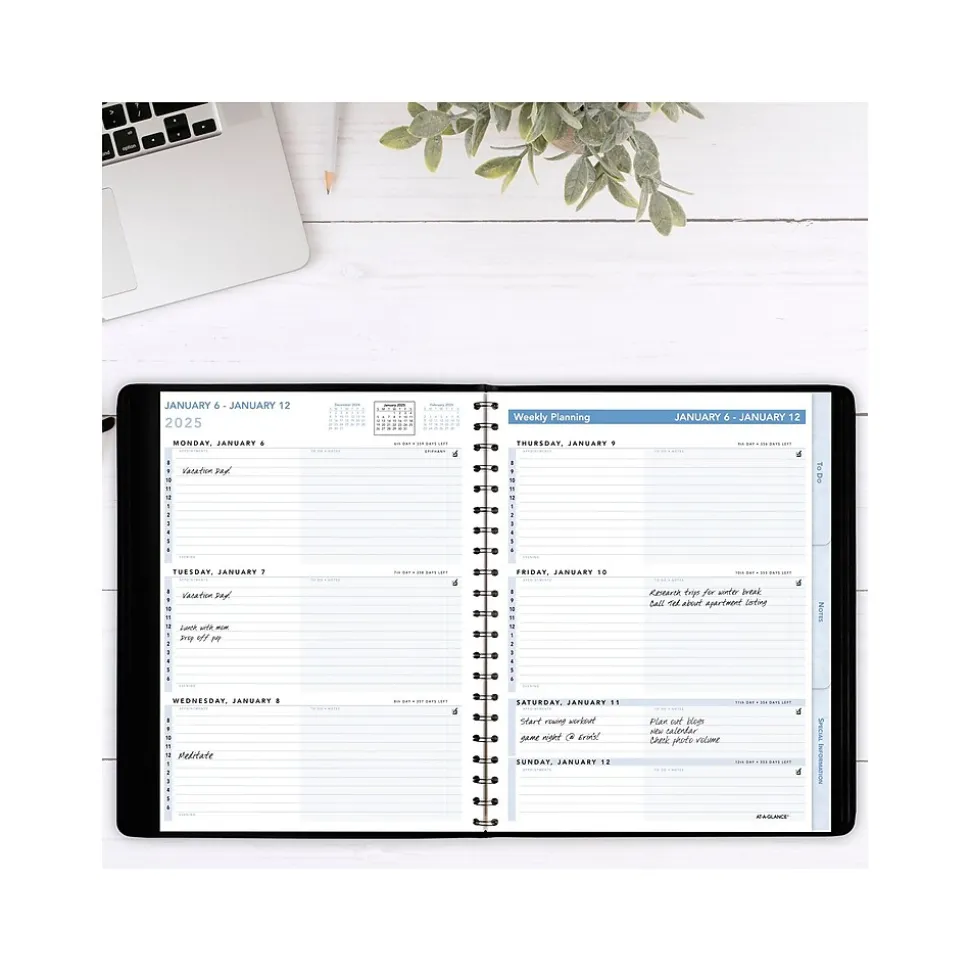 2025 AT-A-GLANCE The Action 8" x 11" Weekly Appointment Book, Faux Leather Cover, Black (70-EP01-05-25)