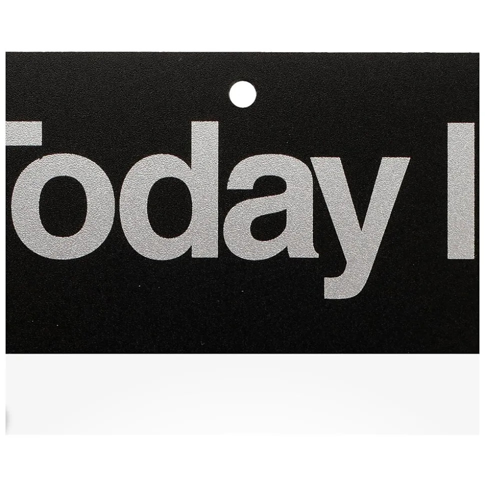 2025 AT-A-GLANCE Today Is 6.63" x 9.13" Daily Wall Calendar, White/Black (K1-00-25)