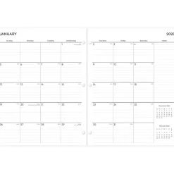 2025 Blue Sky Amalia 8.5" x 11" Monthly Planner, Plastic Cover, Multicolor (152534)