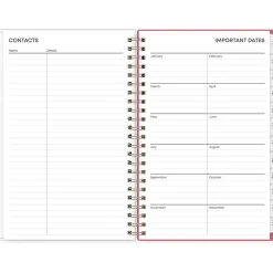 2025 Blue Sky Amalia 5