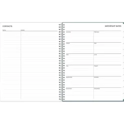 2025 Blue Sky Amitza Blue 8.5