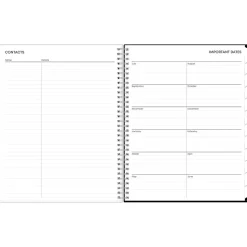 2024-2025 Blue Sky Analeis 8.5