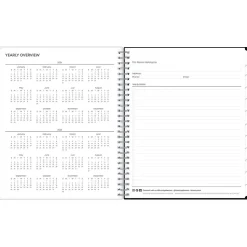 2024-2025 Blue Sky Analeis 8