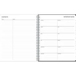 2025 Blue Sky Analeis 8