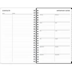 2025 Blue Sky Analeis 5