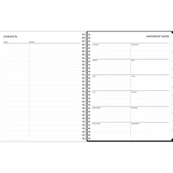 2025 Blue Sky Analeis 8.5