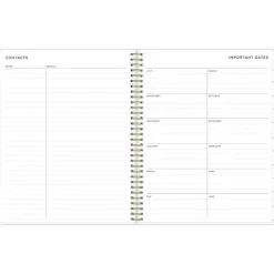 2024-2025 Blue Sky Ashley G Multicolor Smoke 8.5