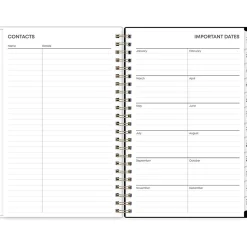 2025 Blue Sky Baccara Dark 5