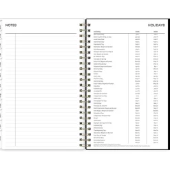2025 Blue Sky Baccara Dark 5