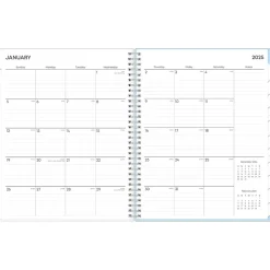 2025 Blue Sky Blue Block 8.5