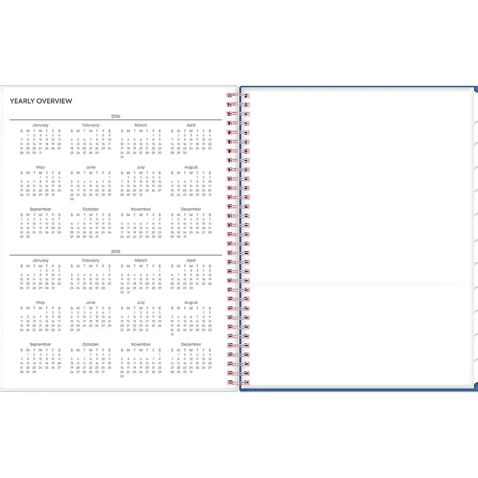 2024-2025 Blue Sky Brandice 8.5" x 11" Academic Weekly & Monthly Planner, Plastic Cover, Multicolor (146847)