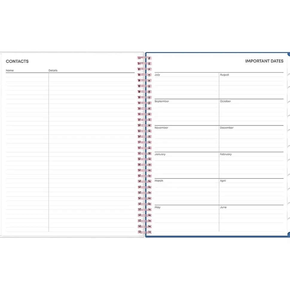 2024-2025 Blue Sky Brandice 8.5" x 11" Academic Weekly & Monthly Planner, Plastic Cover, Multicolor (146847)