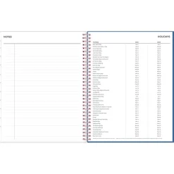 2024-2025 Blue Sky Brandice 8.5