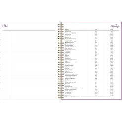 2025 Blue Sky Britt Mills Citrus Sunrise 8.5