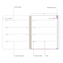 2025 Blue Sky Britt Mills Citrus Sunrise 8.5