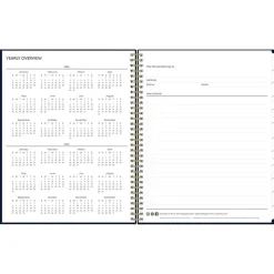 2025 Blue Sky Cheeyna 8.5