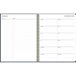 2025 Blue Sky Cheeyna 8.5