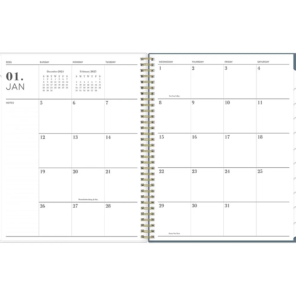 2025 Blue Sky Cocolie 8.5" x 11" Weekly & Monthly Planner, Plastic Cover, Blue/White (148256)