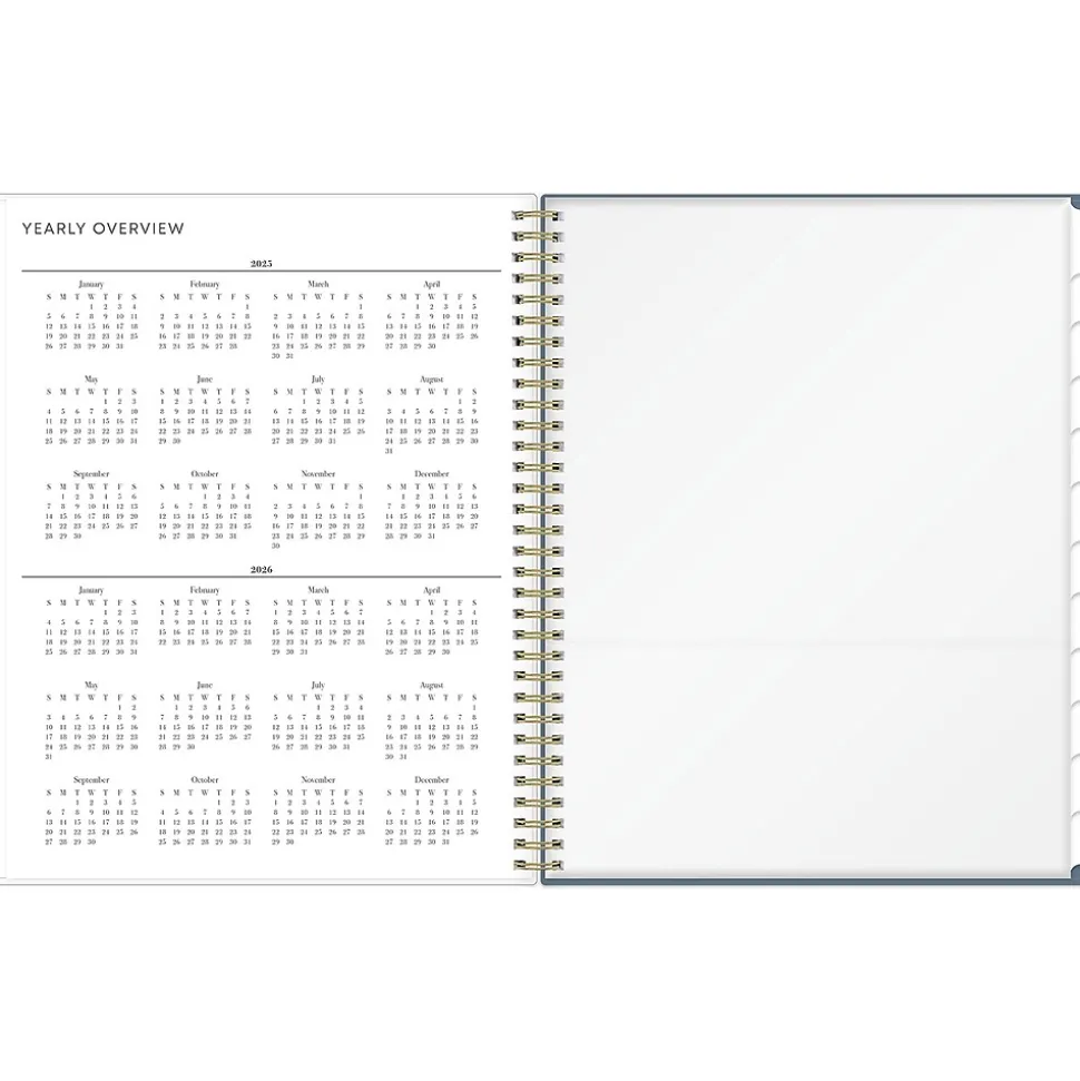 2025 Blue Sky Cocolie 8.5" x 11" Weekly & Monthly Planner, Plastic Cover, Blue/White (148256)