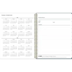 2025 Blue Sky Cocolie 8.5