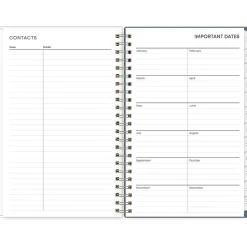 2025 Blue Sky Cocolie 5