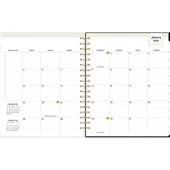 2025 Blue Sky Day Designer Austen Black 8