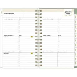 2025 Blue Sky Day Designer Felicity 3.63" x 6.13" Weekly & Monthly Planner, Plastic Cover, Multicolor (152223)