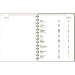 2025 Blue Sky Day Designer Fiore Cream 8.5