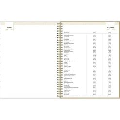 2025 Blue Sky Day Designer Gold Spotty 8.5