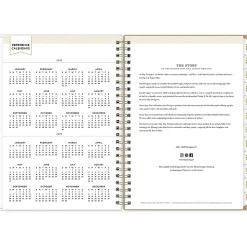 2025 Blue Sky Day Designer Gold Spotty 5.88