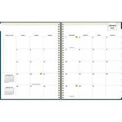 2025 Blue Sky Day Designer Peacock 8.5