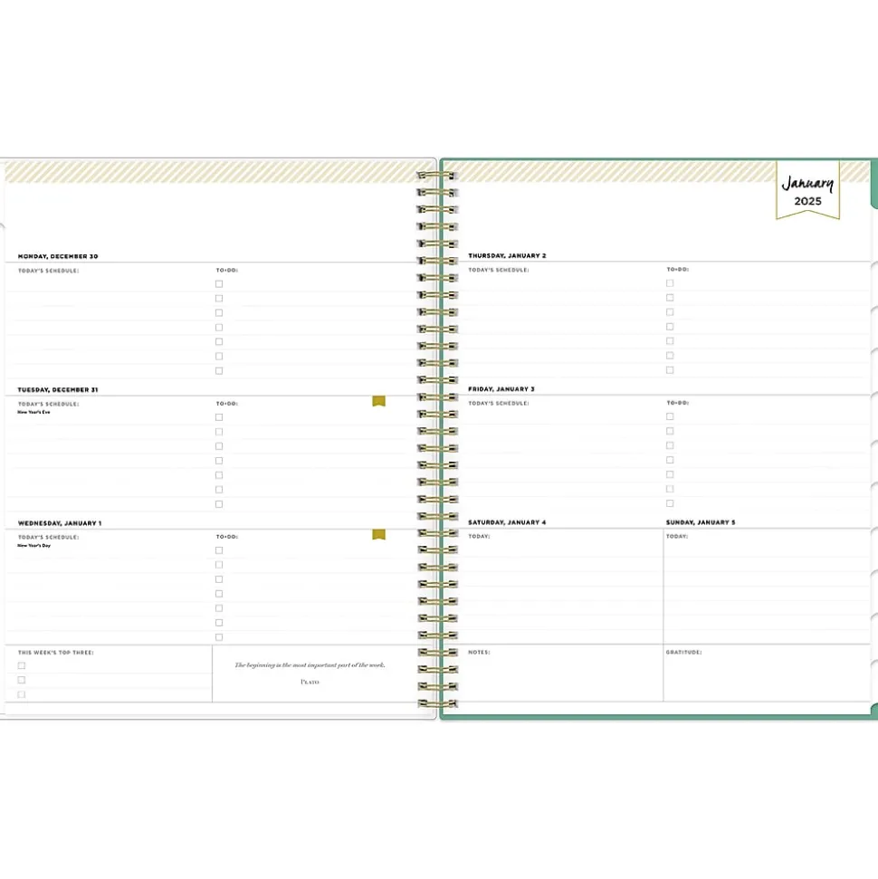 2025 Blue Sky Day Designer Peyton White 8.5" x 11" Weekly & Monthly Planner, Plastic Cover, Multicolor (103618-25)