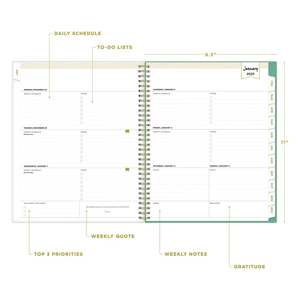 2025 Blue Sky Day Designer Peyton White 8.5" x 11" Weekly & Monthly Planner, Plastic Cover, Multicolor (103618-25)