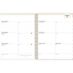 2025 Blue Sky Day Designer Roses Blush 8.5" x 11" Weekly & Monthly Planner, Plastic Cover, Multicolor (140092-25)