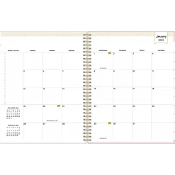 2025 Blue Sky Day Designer Roses Blush 8.5