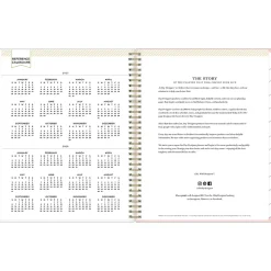 2025 Blue Sky Day Designer Roses Blush 8.5