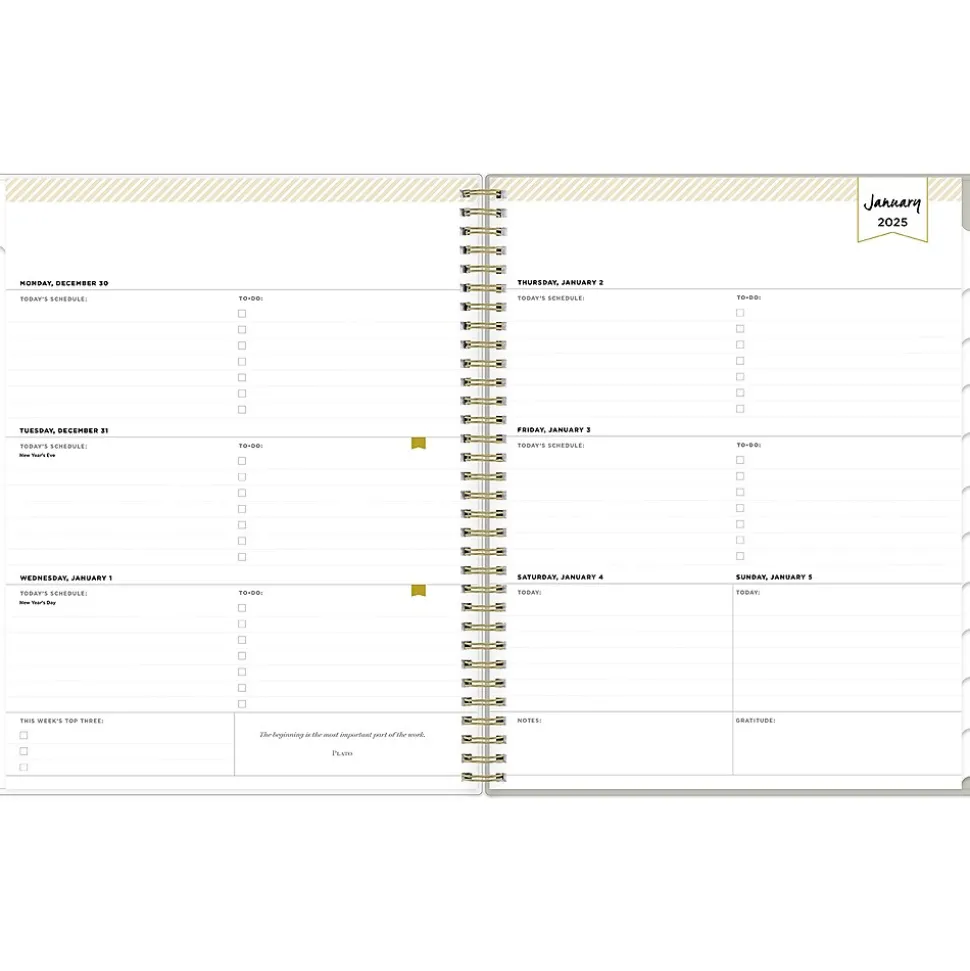 2025 Blue Sky Day Designer Tess 8.5" x 11" Weekly Planner, Plastic Cover, Tan/Off-White (148144)