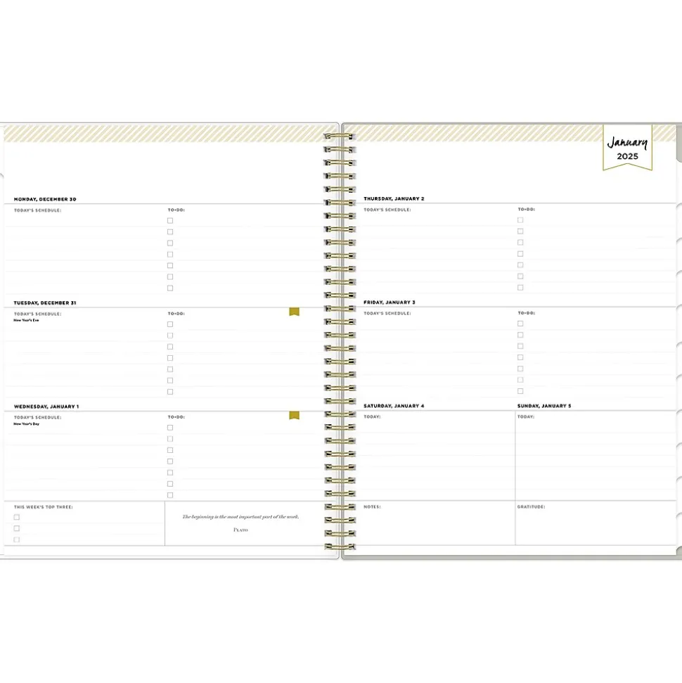 2025 Blue Sky Day Designer Tess 8.5" x 11" Weekly Planner, Plastic Cover, Tan/Off-White (148144)