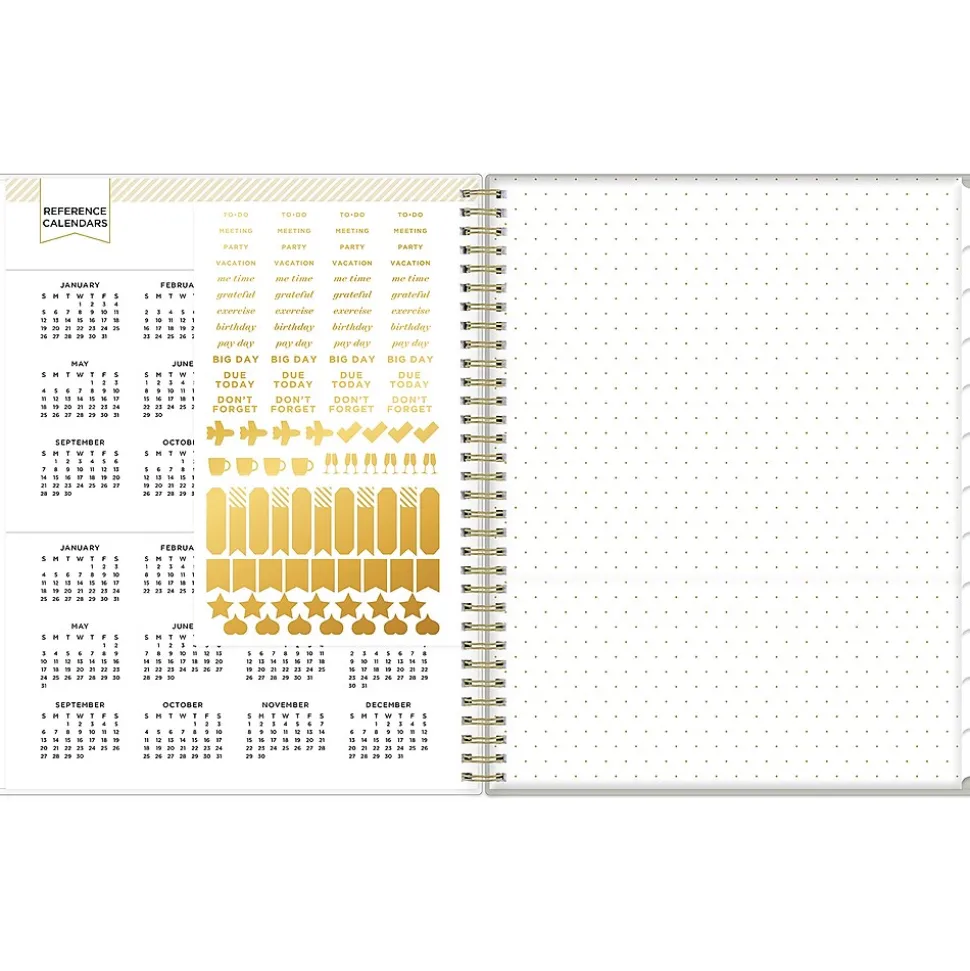 2025 Blue Sky Day Designer Tess 8.5" x 11" Weekly Planner, Plastic Cover, Tan/Off-White (148144)